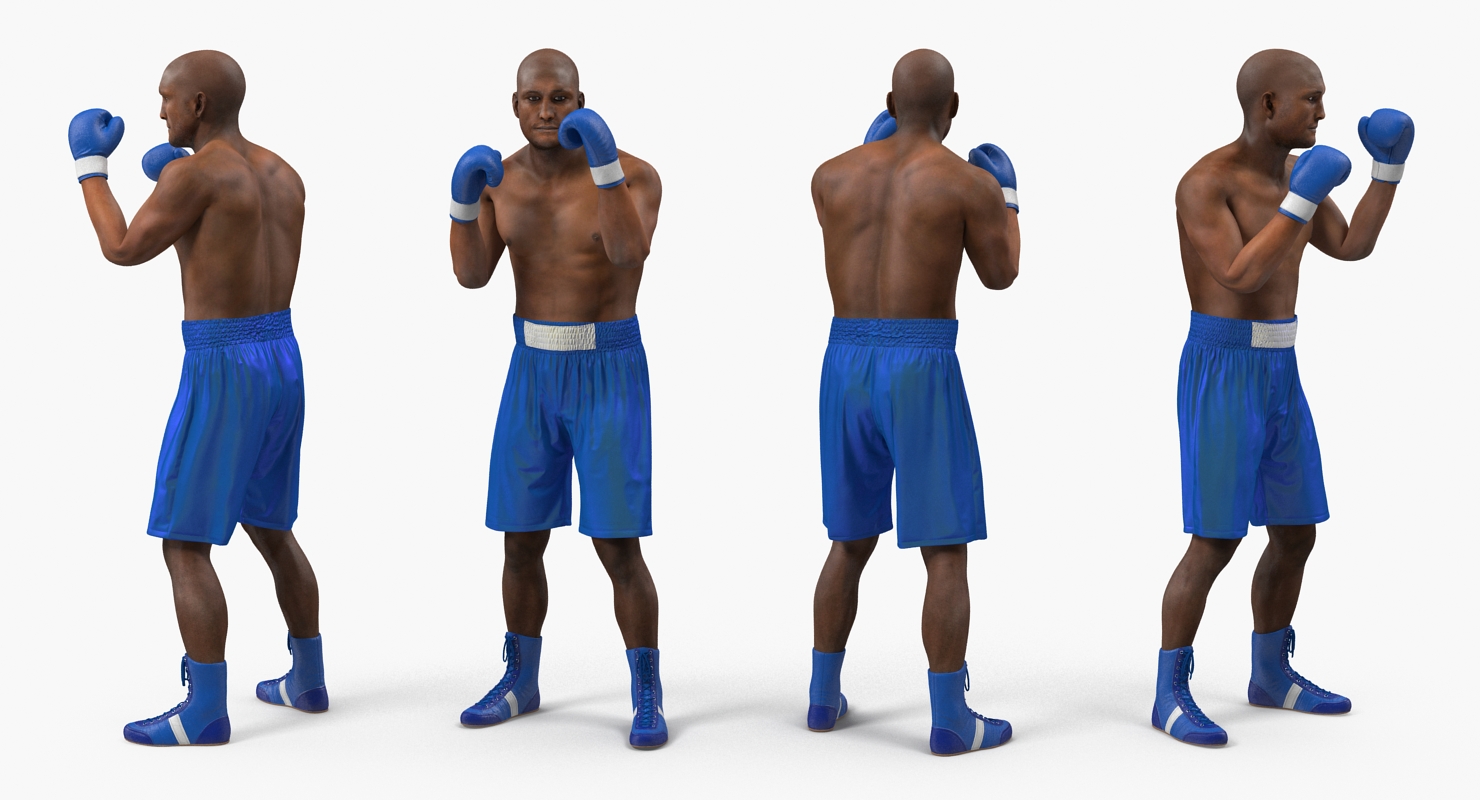 Two Boxers 4 3D