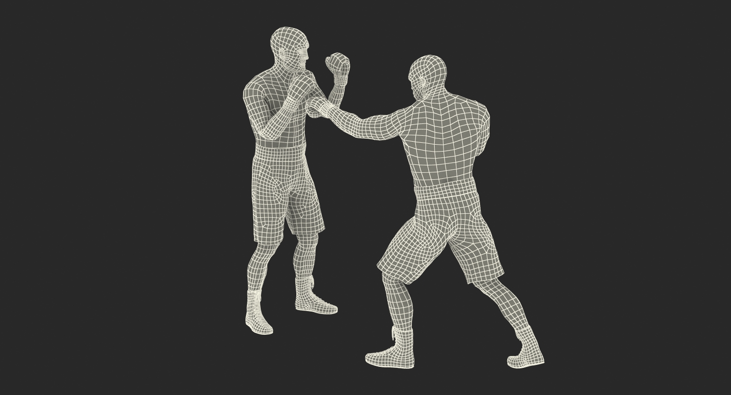 Two Boxers 4 3D