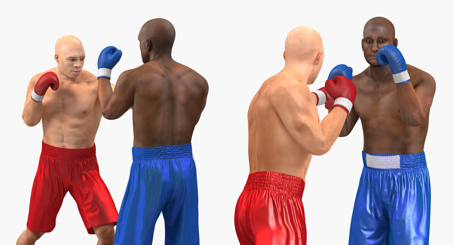 Two Boxers 4 3D