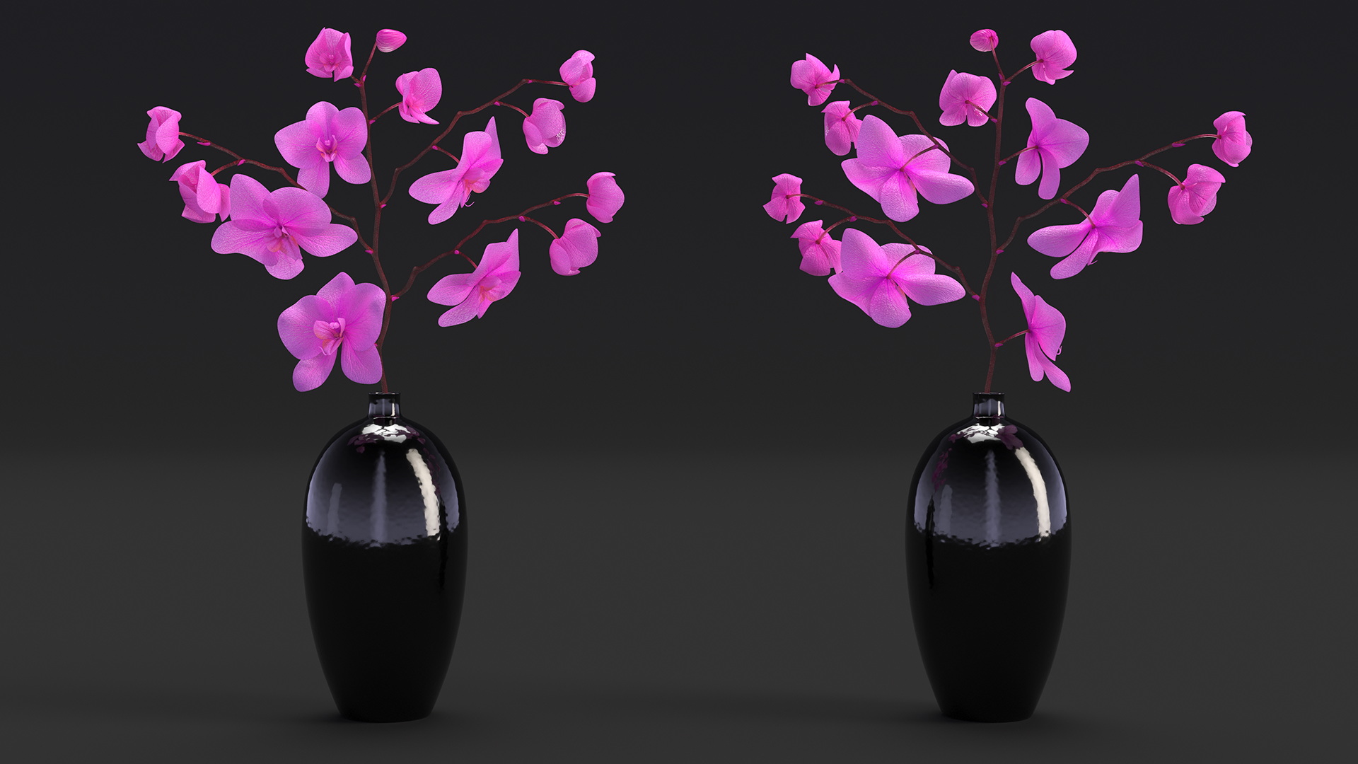 3D Pink Phalaenopsis Orchid in Black Vase model