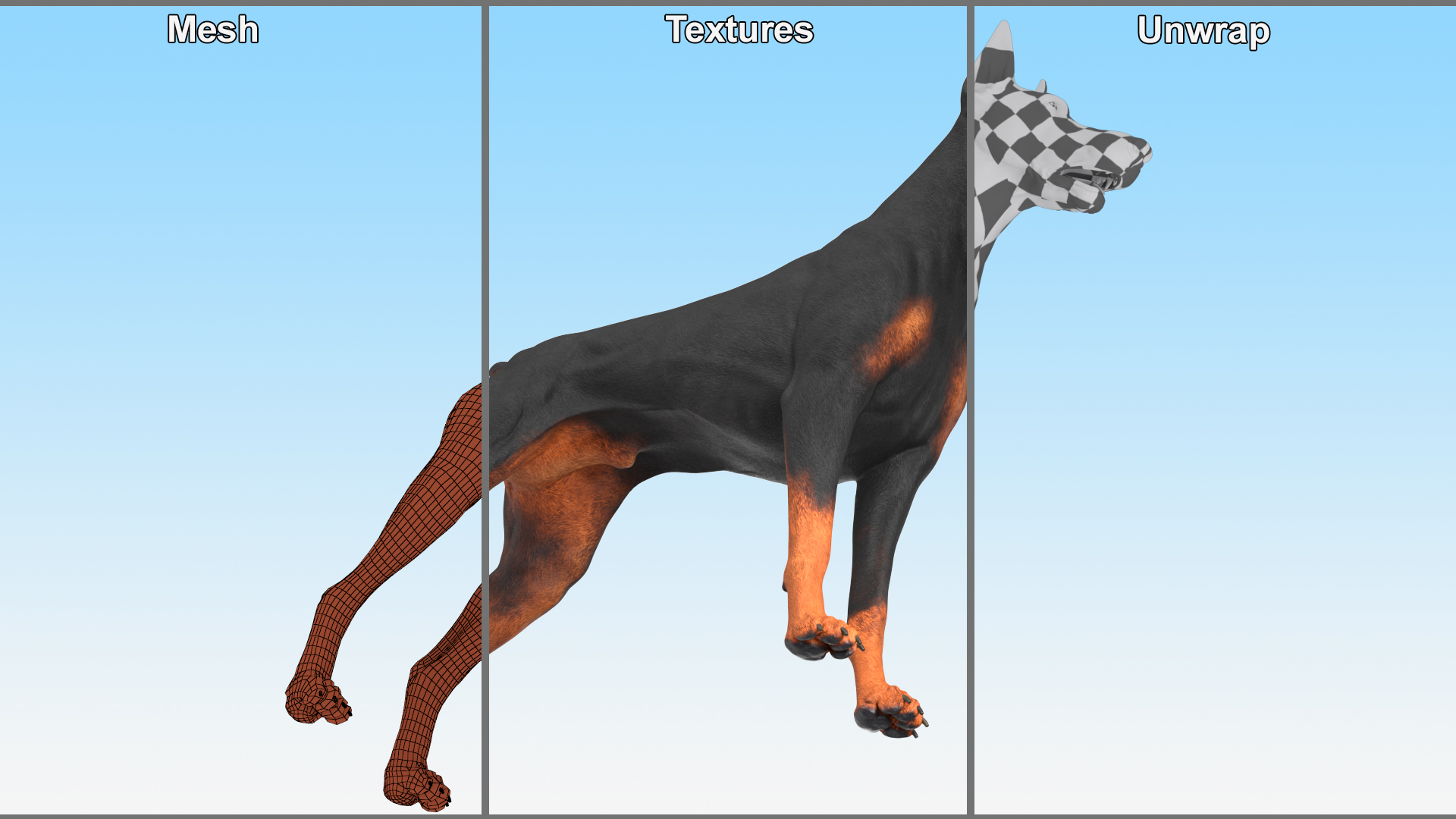 3D Doberman Pinscher Dog