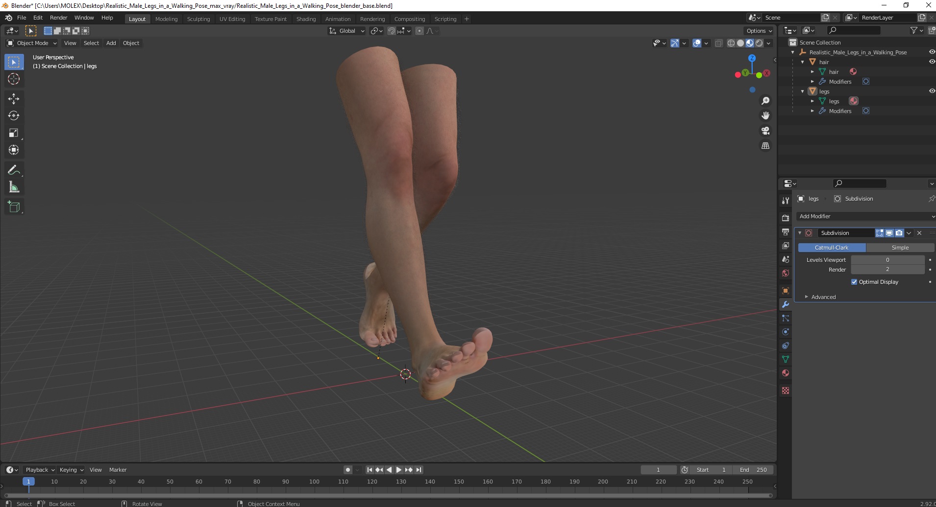 Realistic Male Legs in a Walking Pose 3D