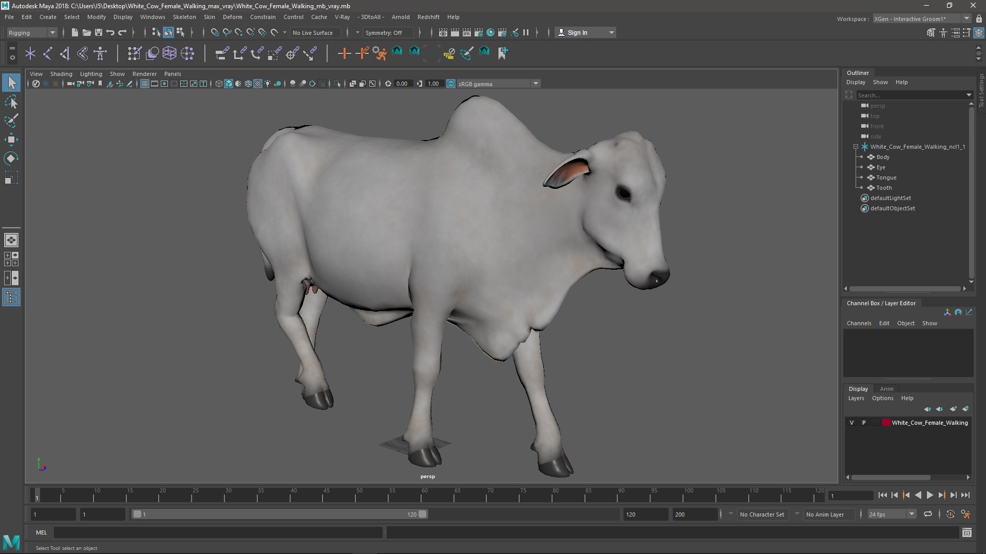 White Cow Female Walking 3D model