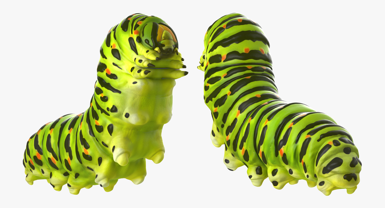 3D Caterpillar Rigged model