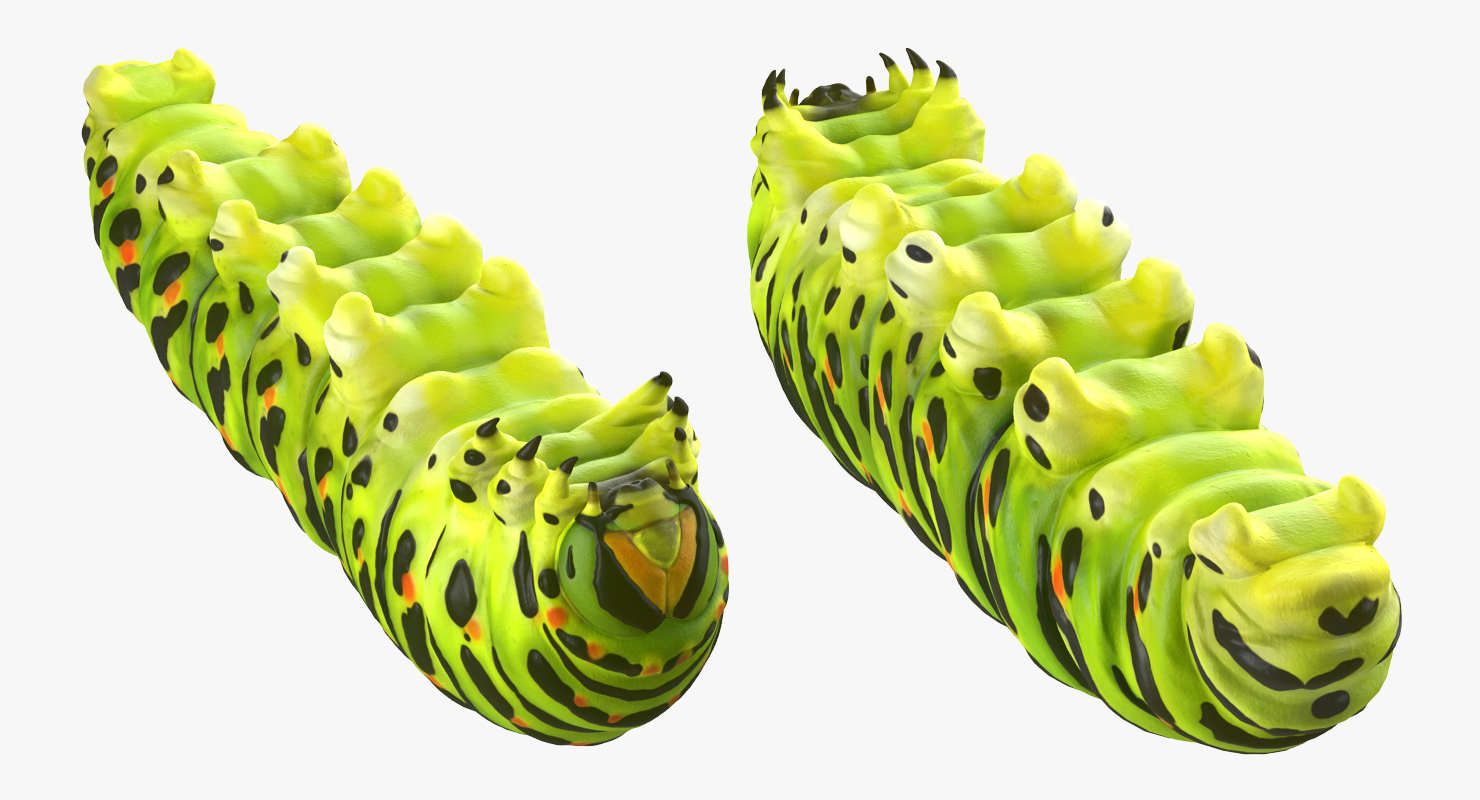 3D Caterpillar Rigged model