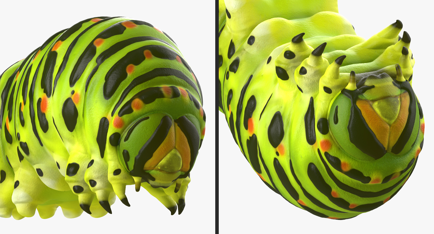 3D Caterpillar Rigged model