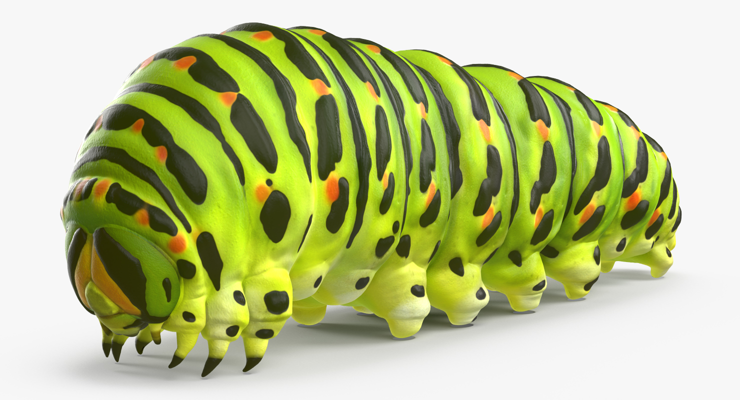 3D Caterpillar Rigged model