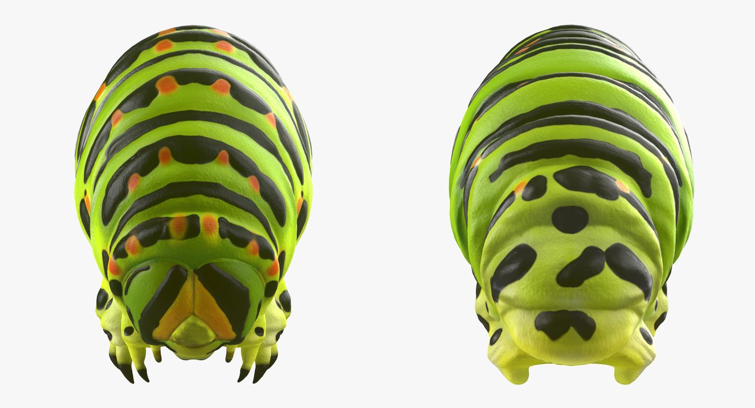 3D Caterpillar Rigged model