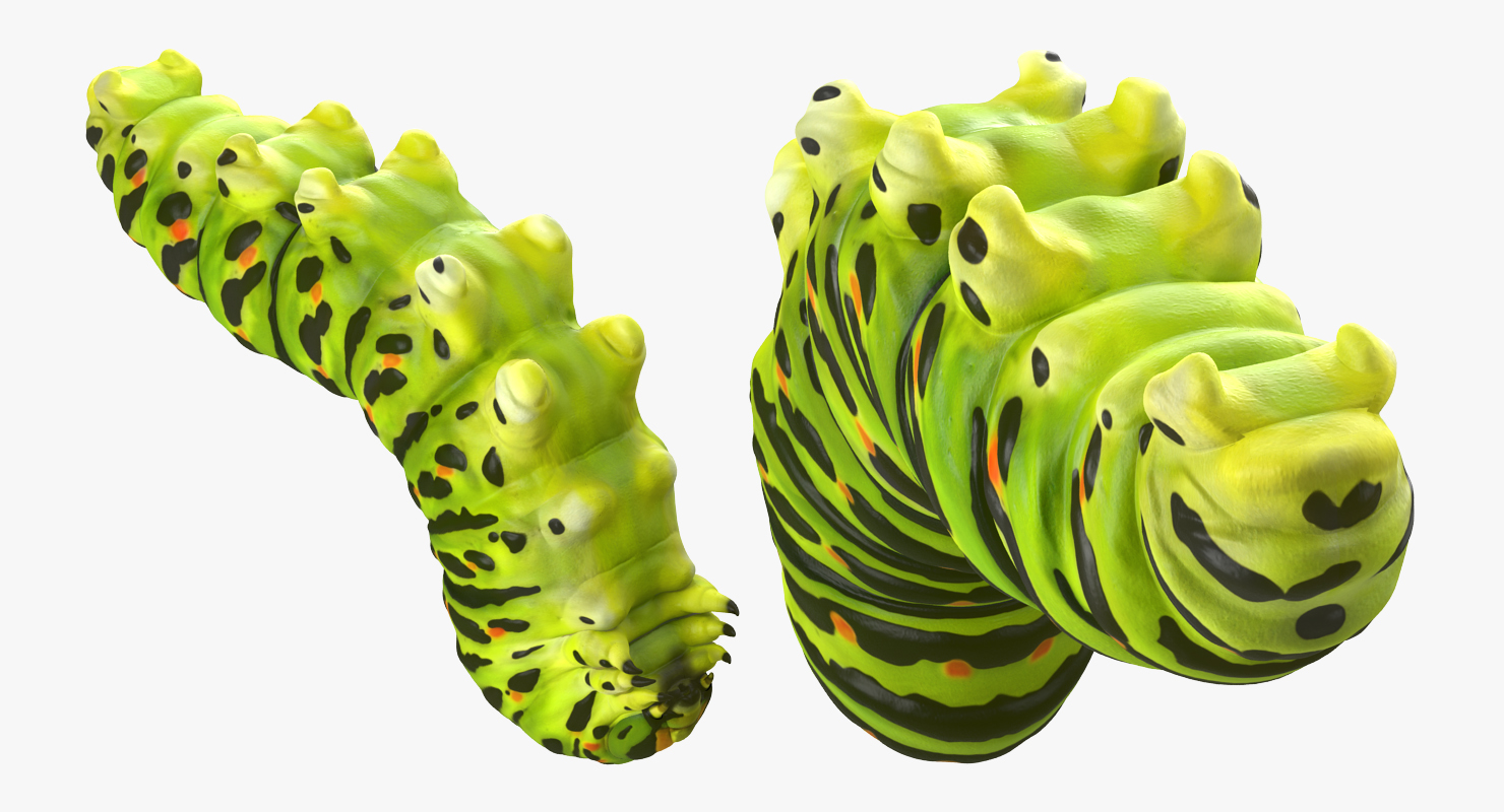 3D Caterpillar Rigged model