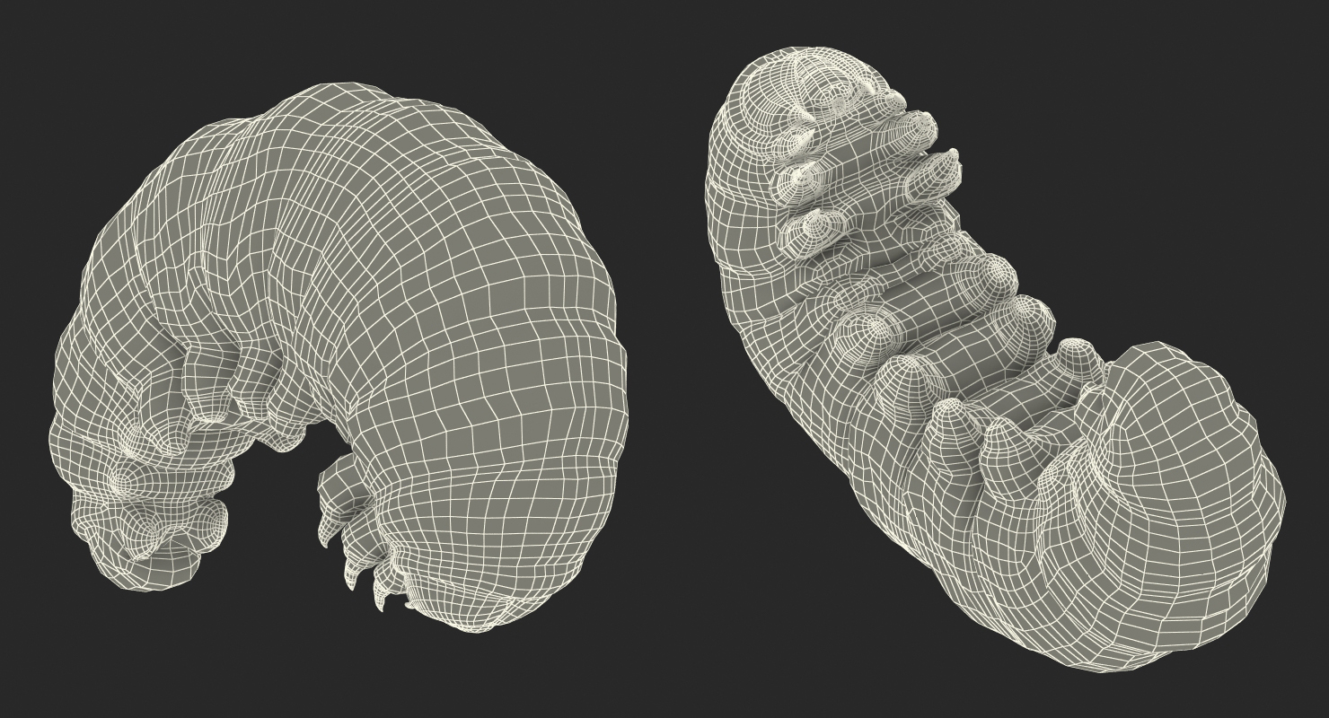 3D Caterpillar Rigged model