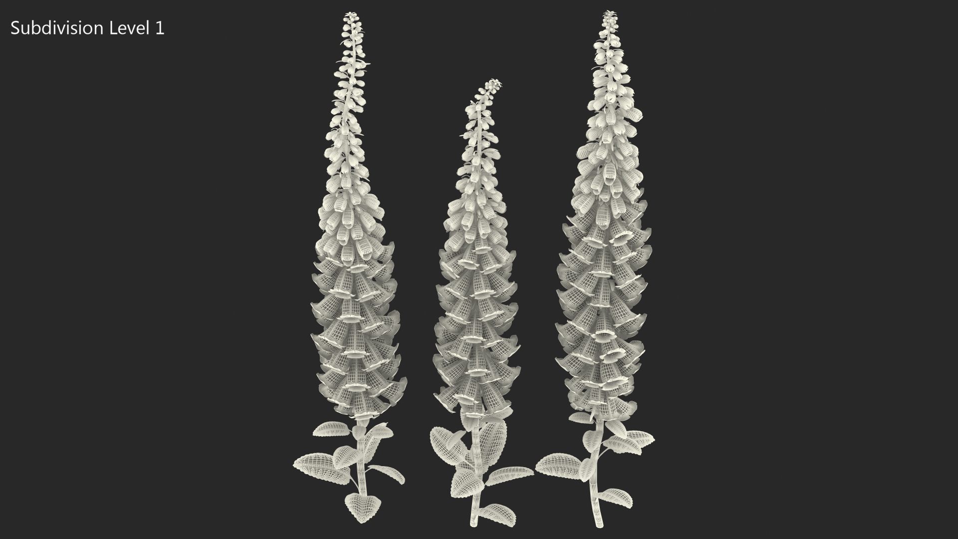 3D model Mixed Pink Foxglove Plants Set