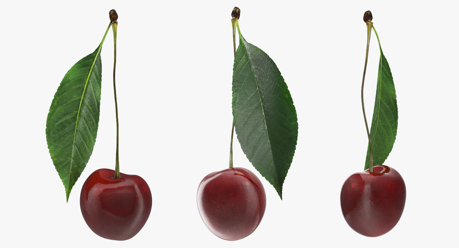 3D Cherry with Leaf