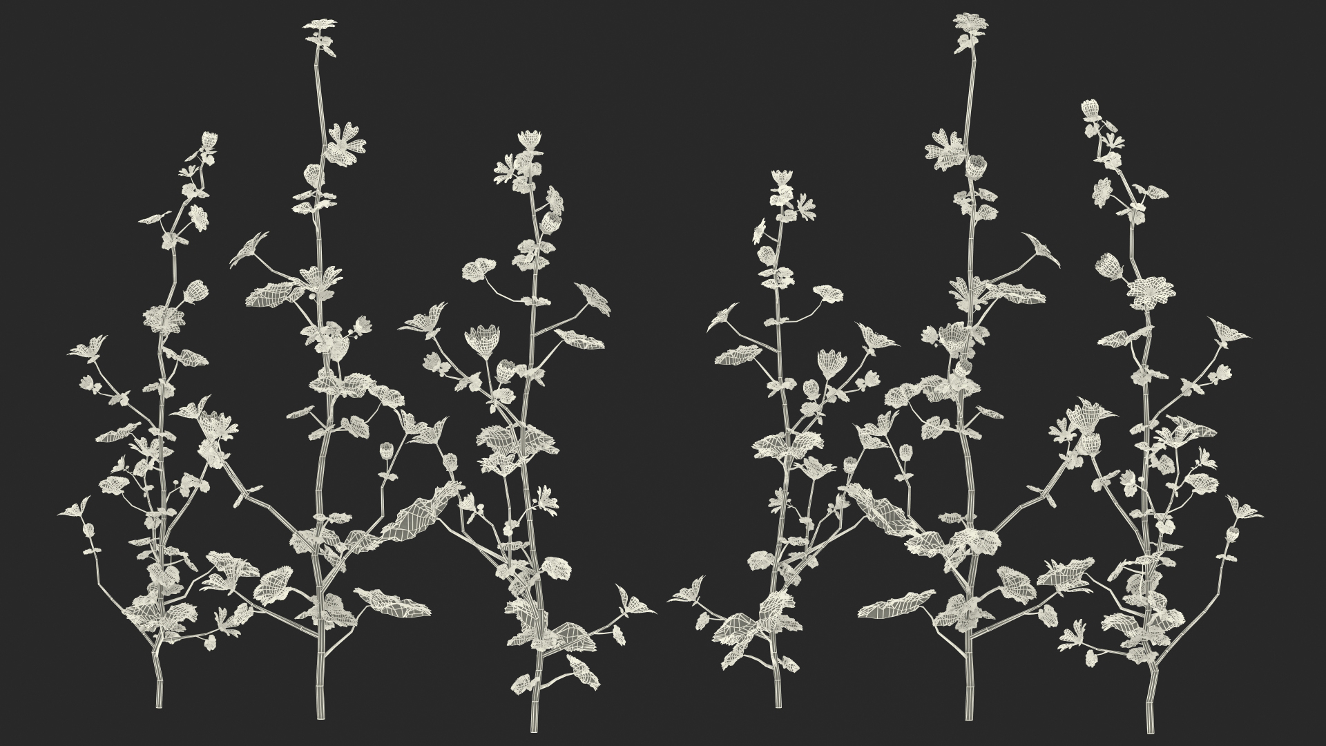 Common Mallow Plants Set 3D model