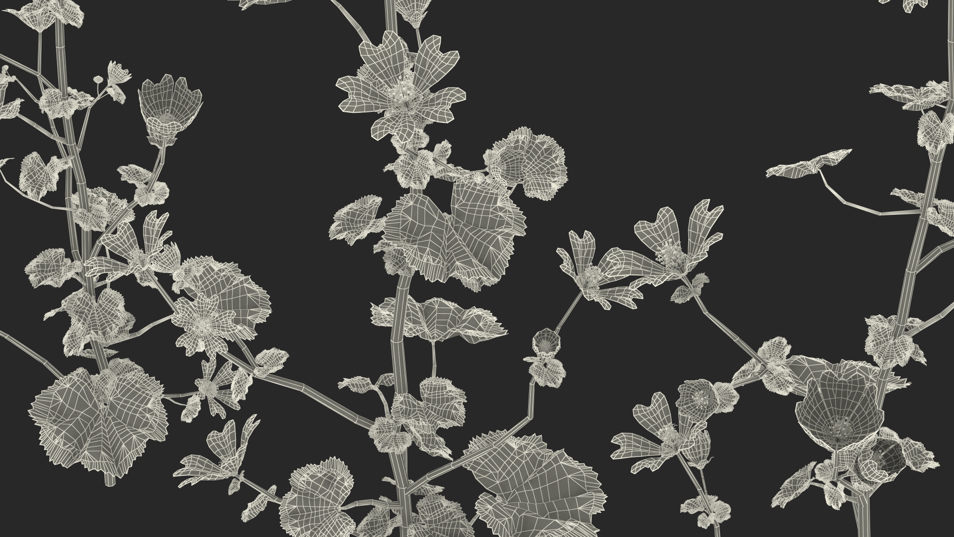 Common Mallow Plants Set 3D model