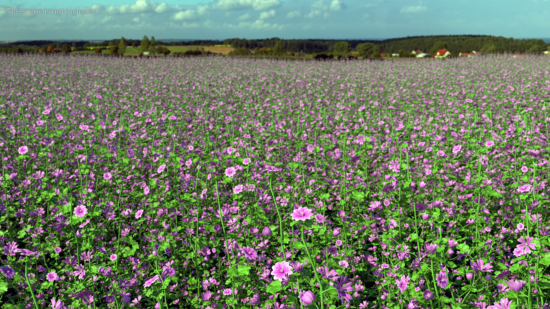 Common Mallow Plants Set 3D model