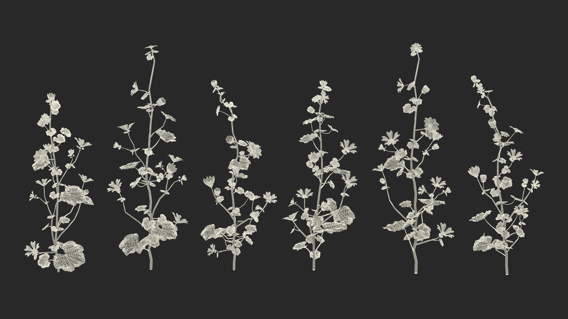 Common Mallow Plants Set 3D model