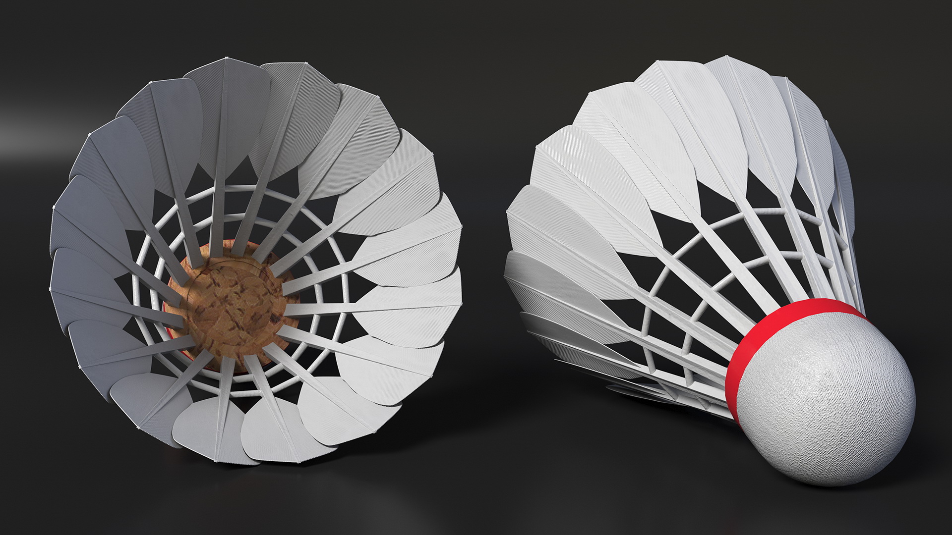 3D model Red Composite Badminton Rackets and Plastic Shuttlecock