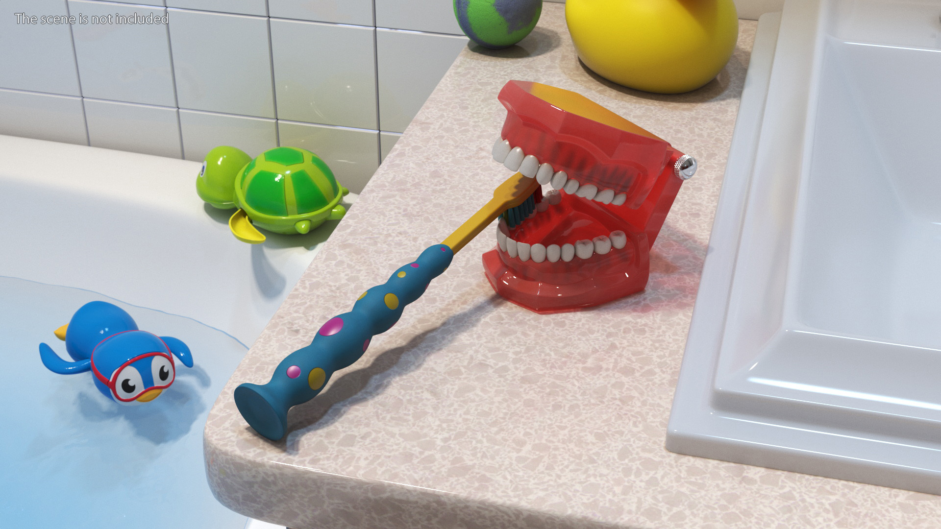 3D Dental Model with Kids Toothbrush model