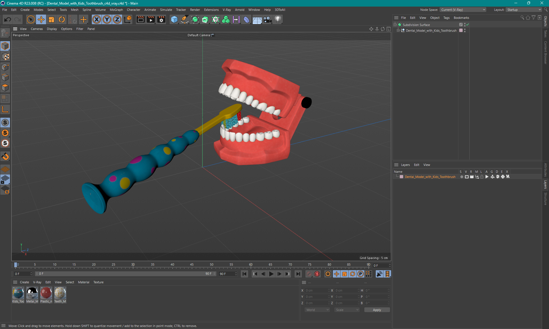 3D Dental Model with Kids Toothbrush model