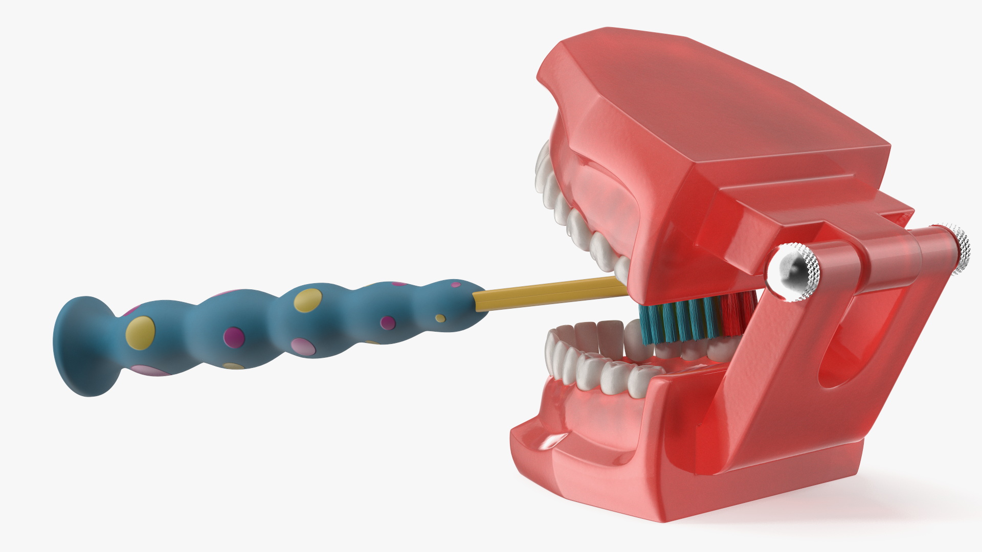 3D Dental Model with Kids Toothbrush model