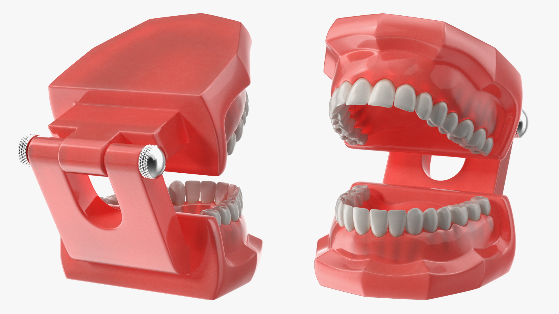 3D Dental Model with Kids Toothbrush model