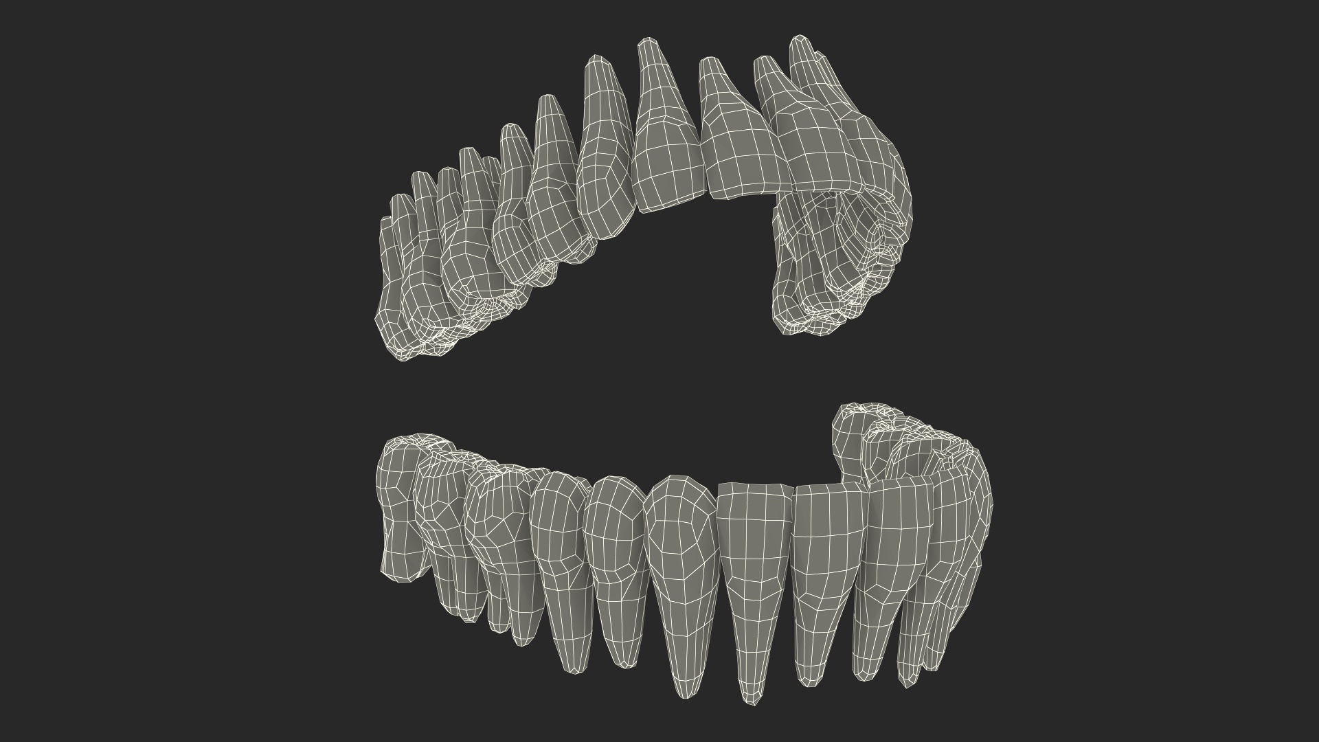 3D Dental Model with Kids Toothbrush model