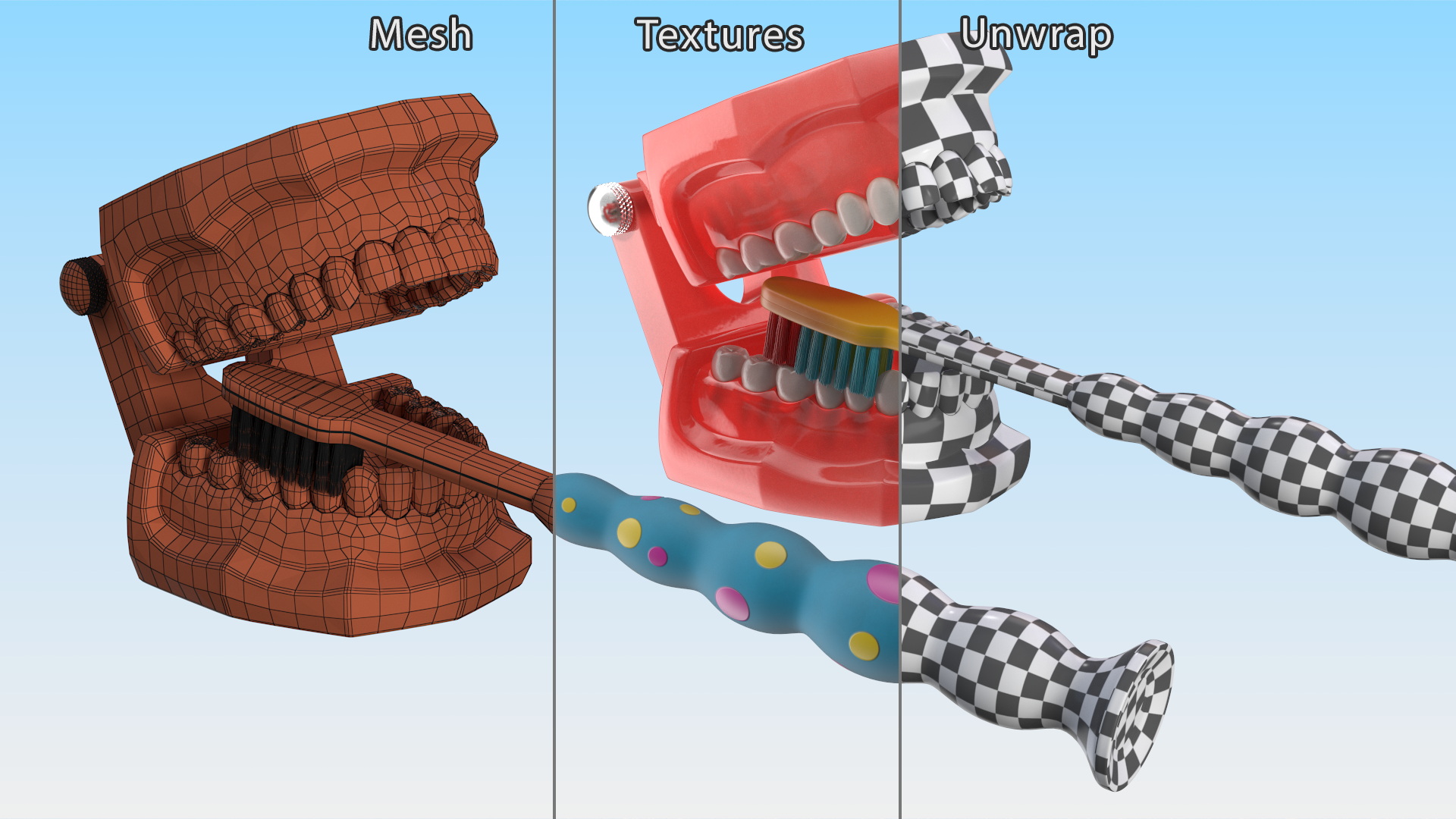 3D Dental Model with Kids Toothbrush model