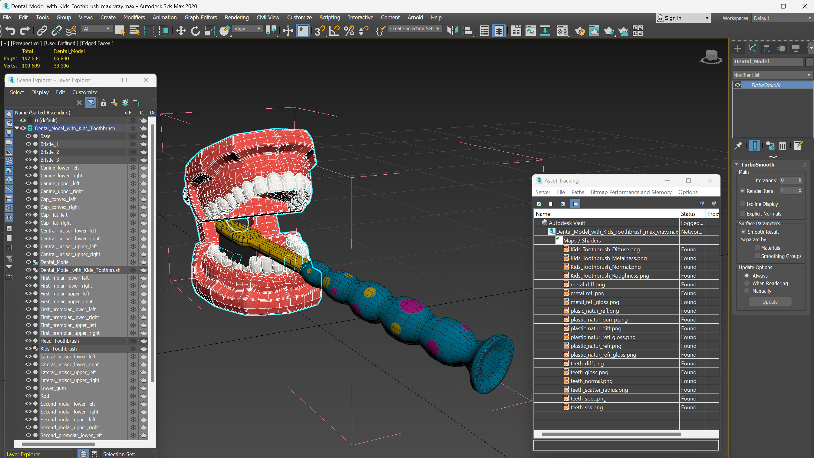 3D Dental Model with Kids Toothbrush model