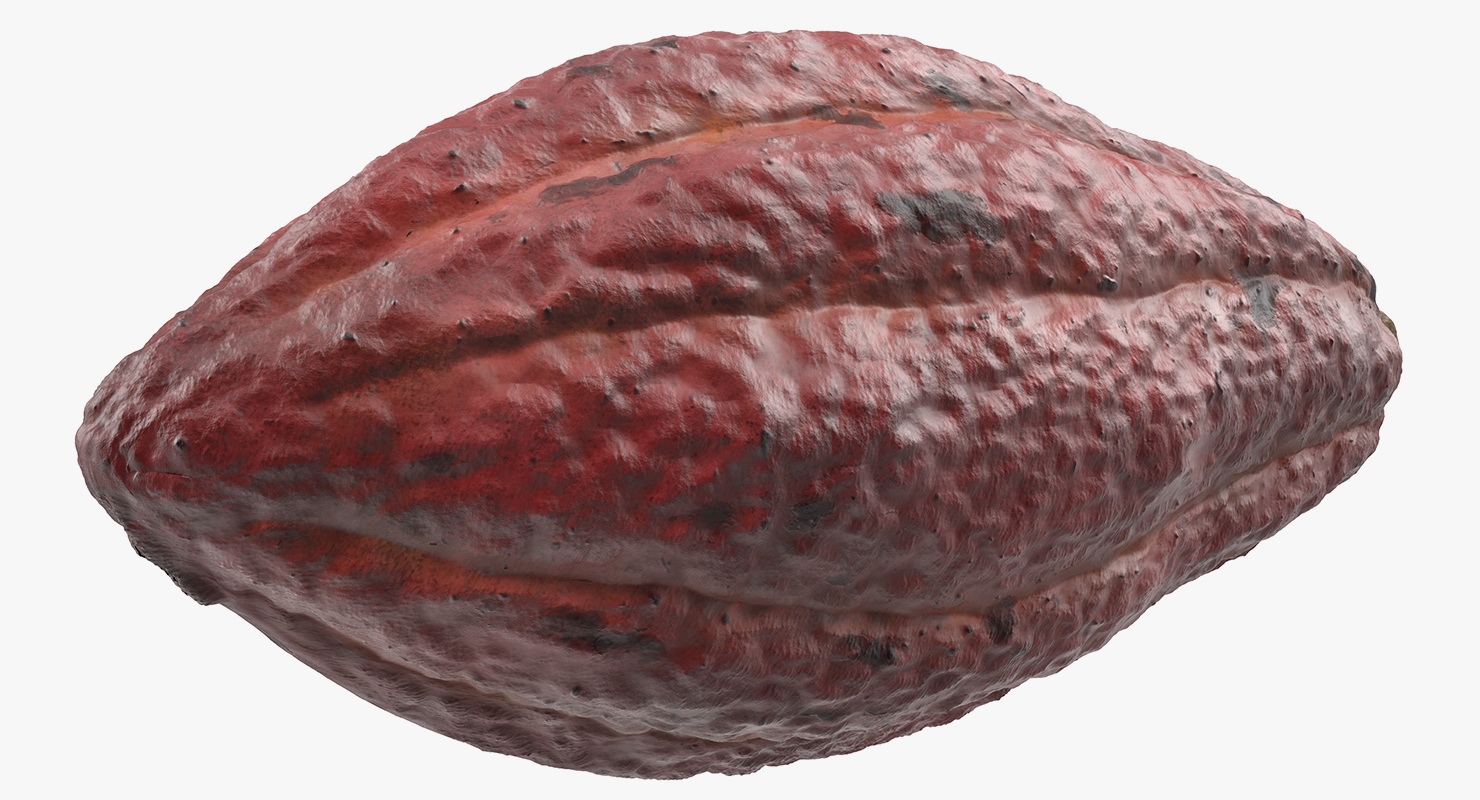 Brown Cocoa Fruit 3D