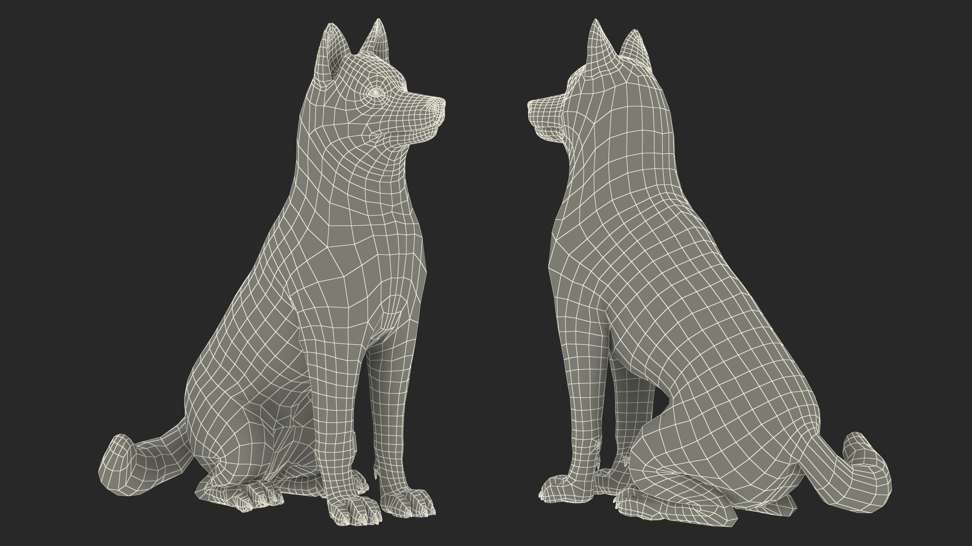 Sitting Siberian Husky Copper and White 3D model