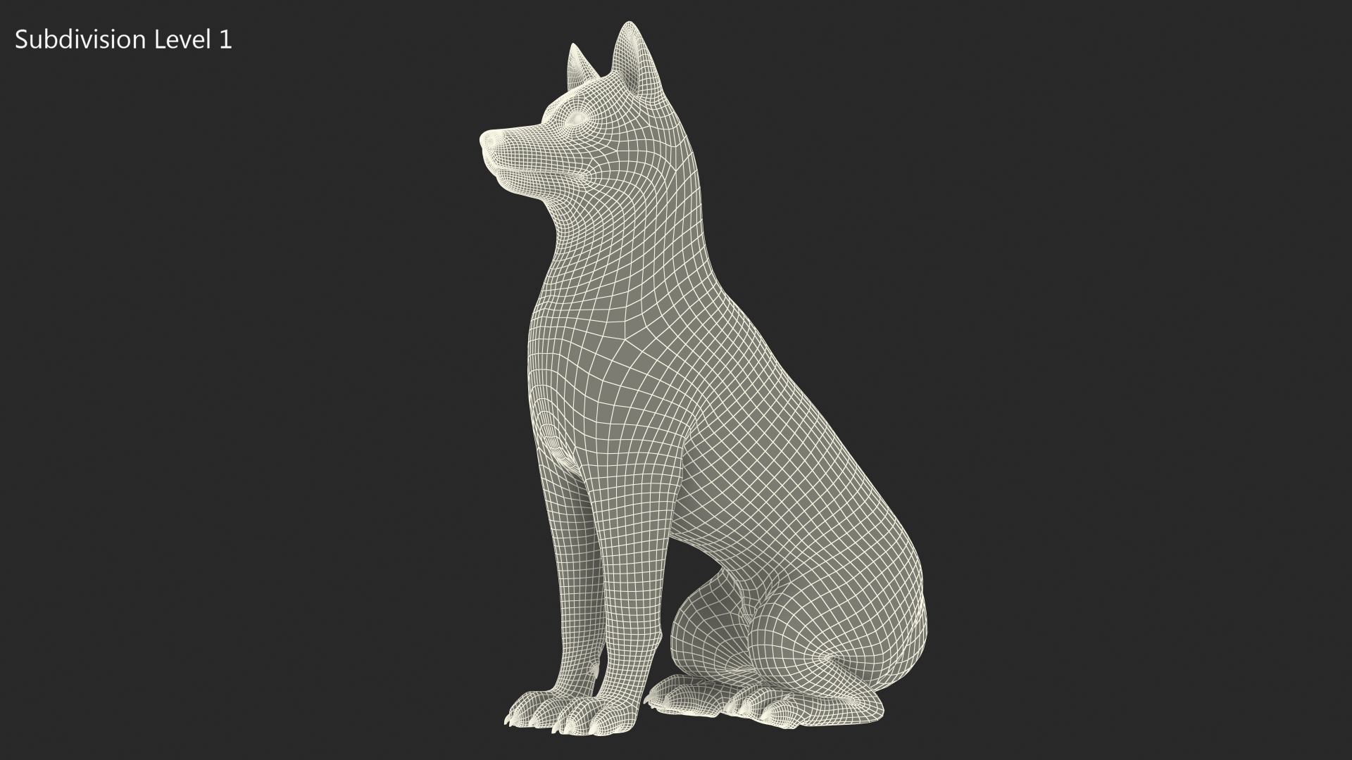 Sitting Siberian Husky Copper and White 3D model