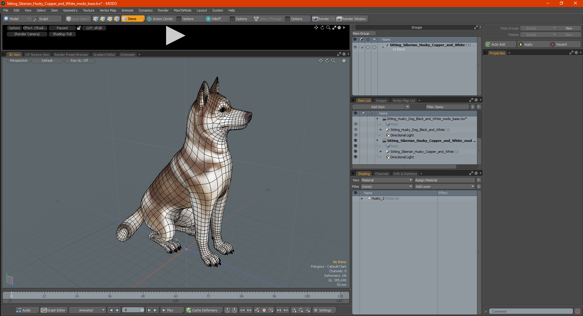 Sitting Siberian Husky Copper and White 3D model