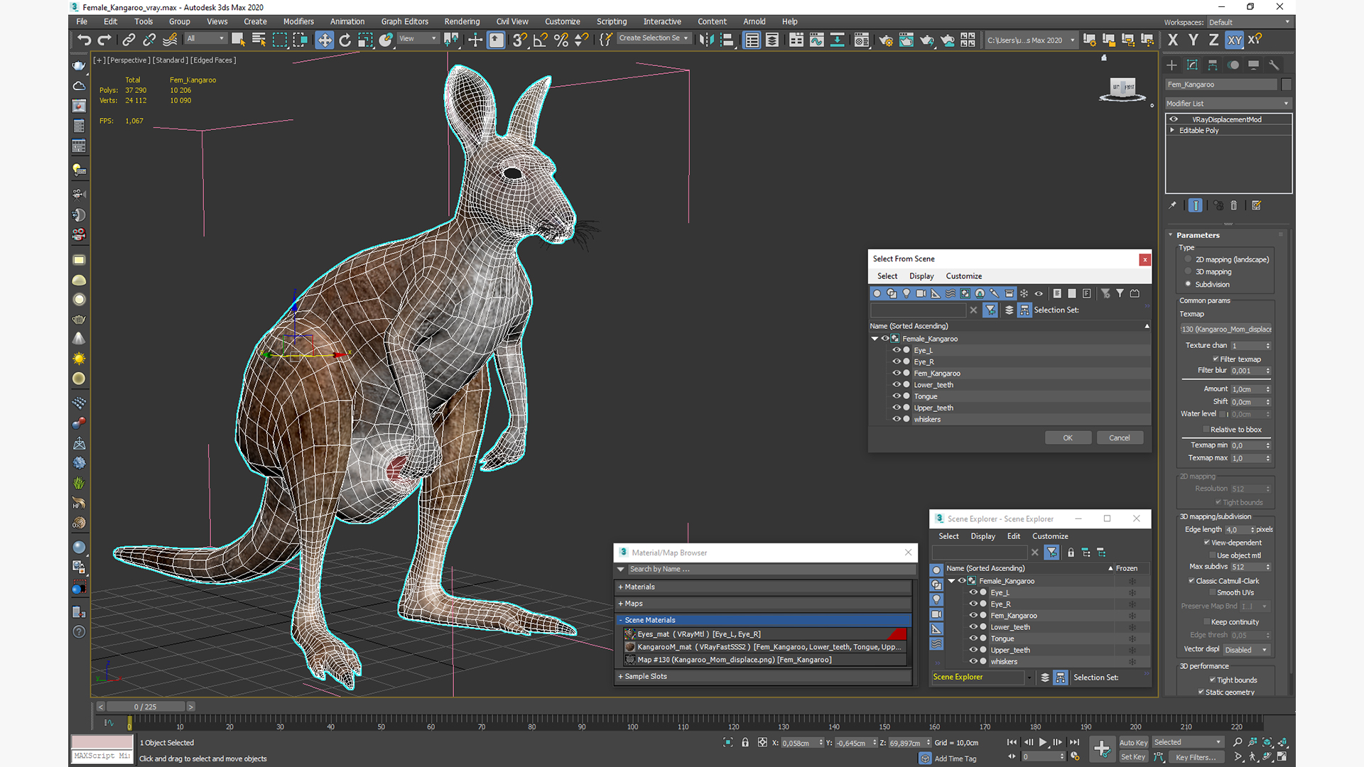 3D model Female Kangaroo