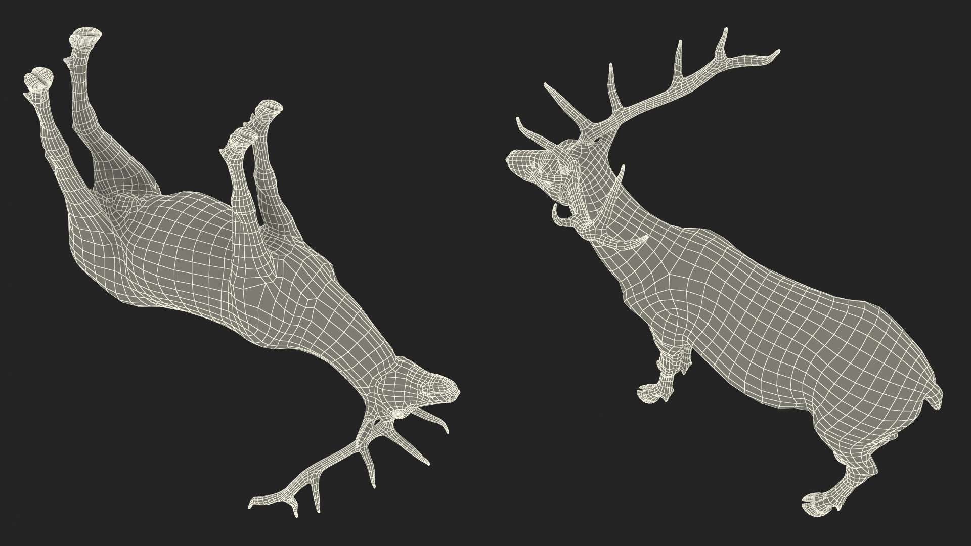 3D model Realistic Elk Rigged