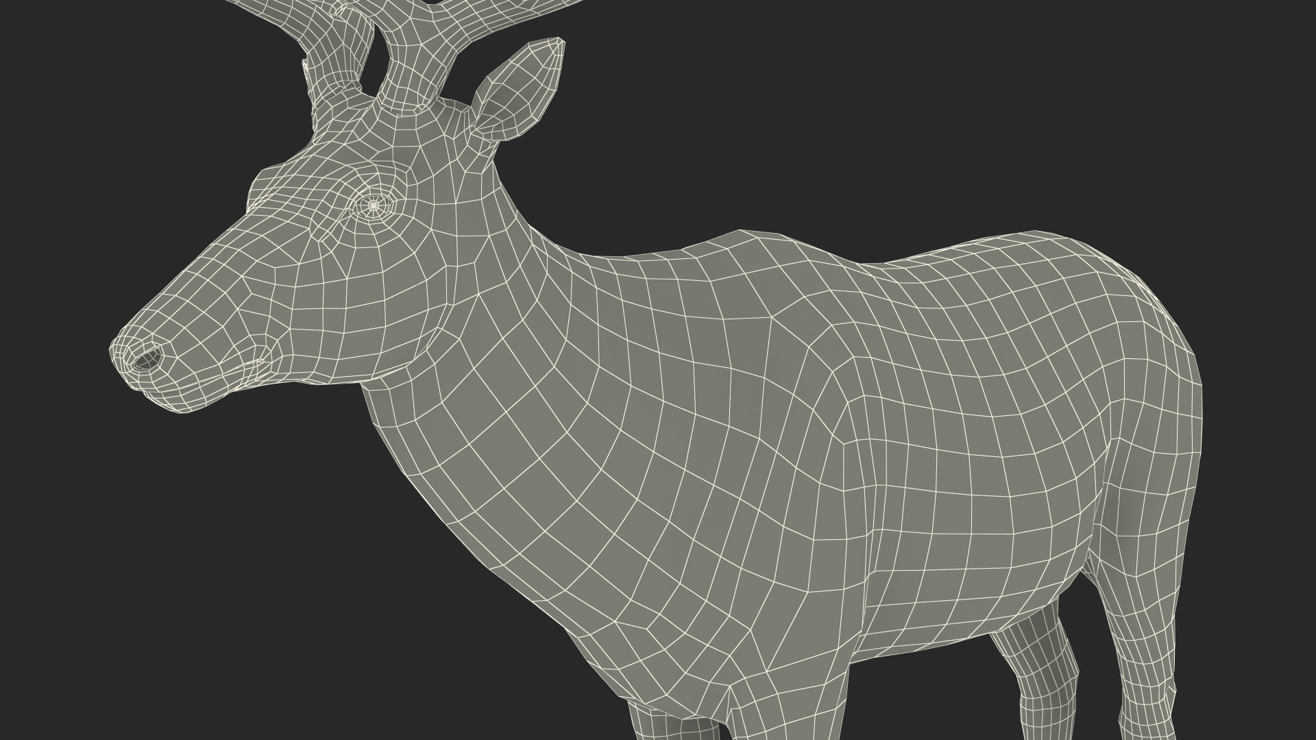 Realistic Elk Rigged for Cinema 4D 3D model