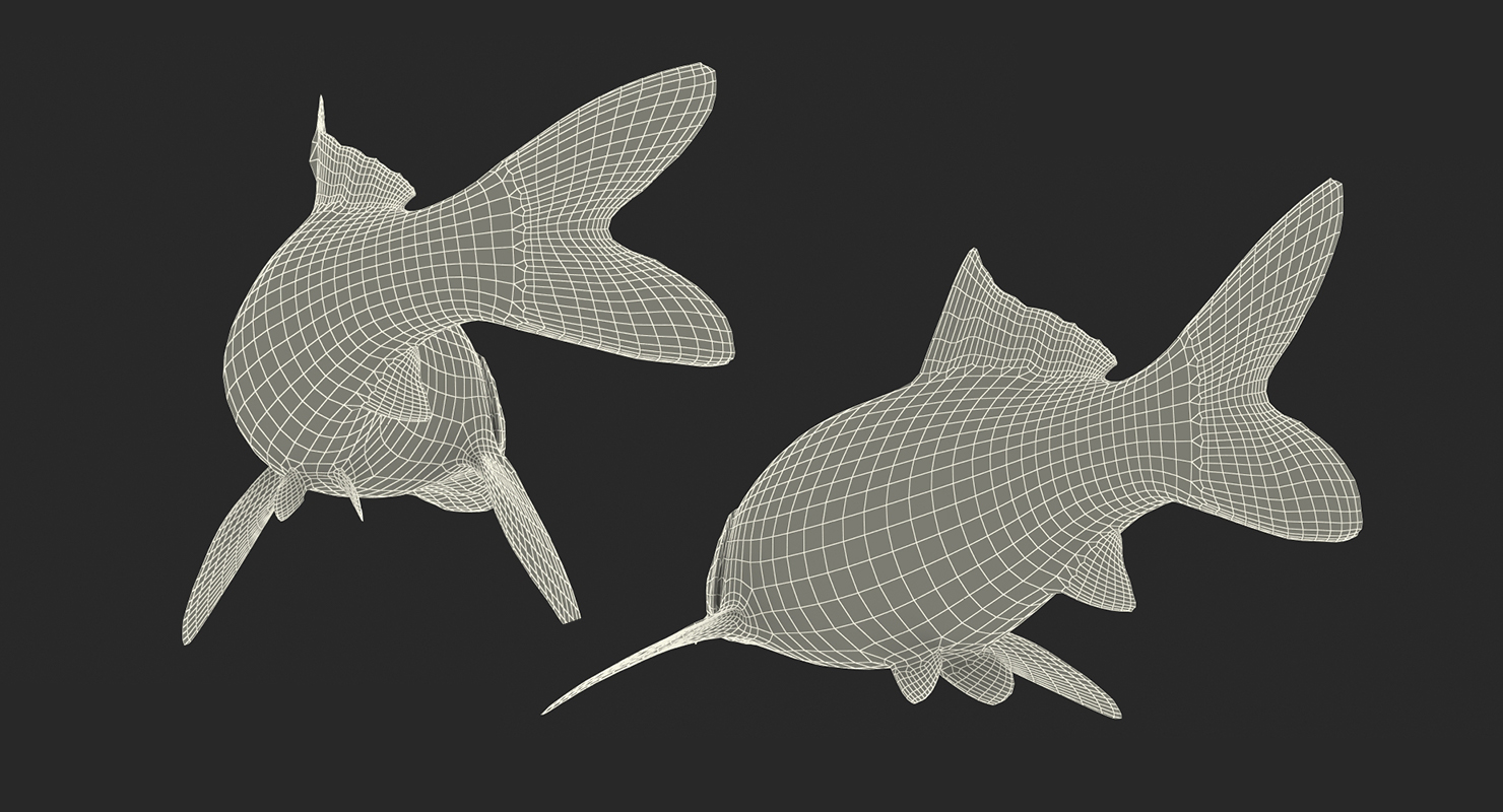 Yellow Koi Ogon Fish Rigged 3D