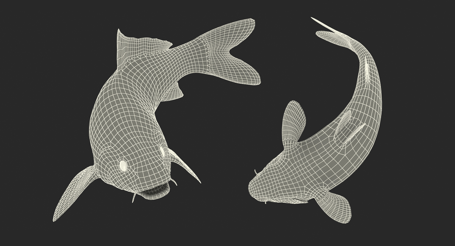 Yellow Koi Ogon Fish Rigged 3D