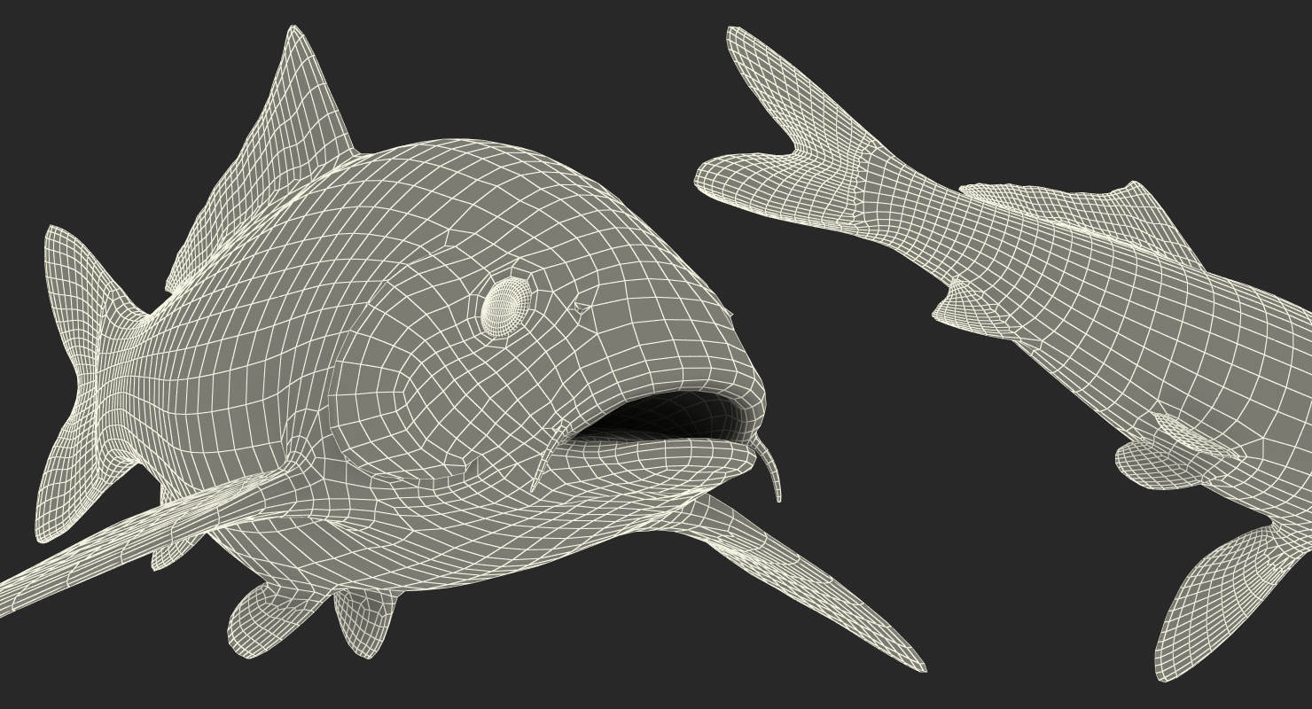 Yellow Koi Ogon Fish Rigged 3D