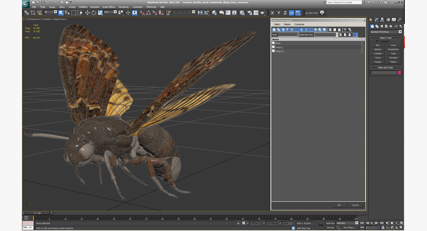 3D model Greater Deaths Head Hawkmoth flying Pose