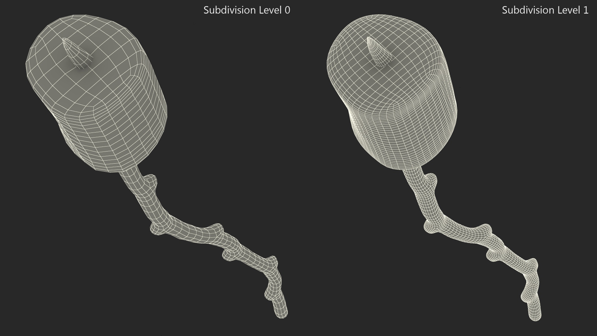 3D model Marshmallow on Stick