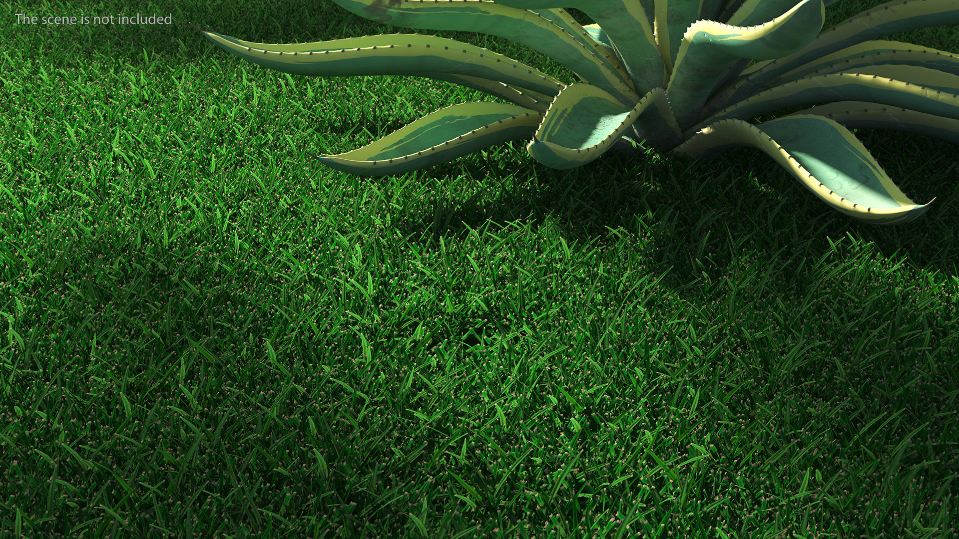 3D Realistic Lawn Grass Patch