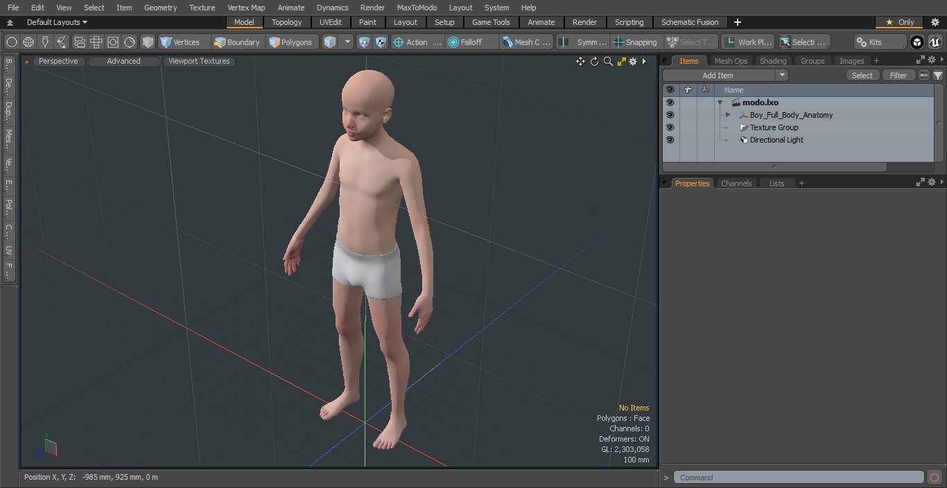 3D Boy Full Body Anatomy