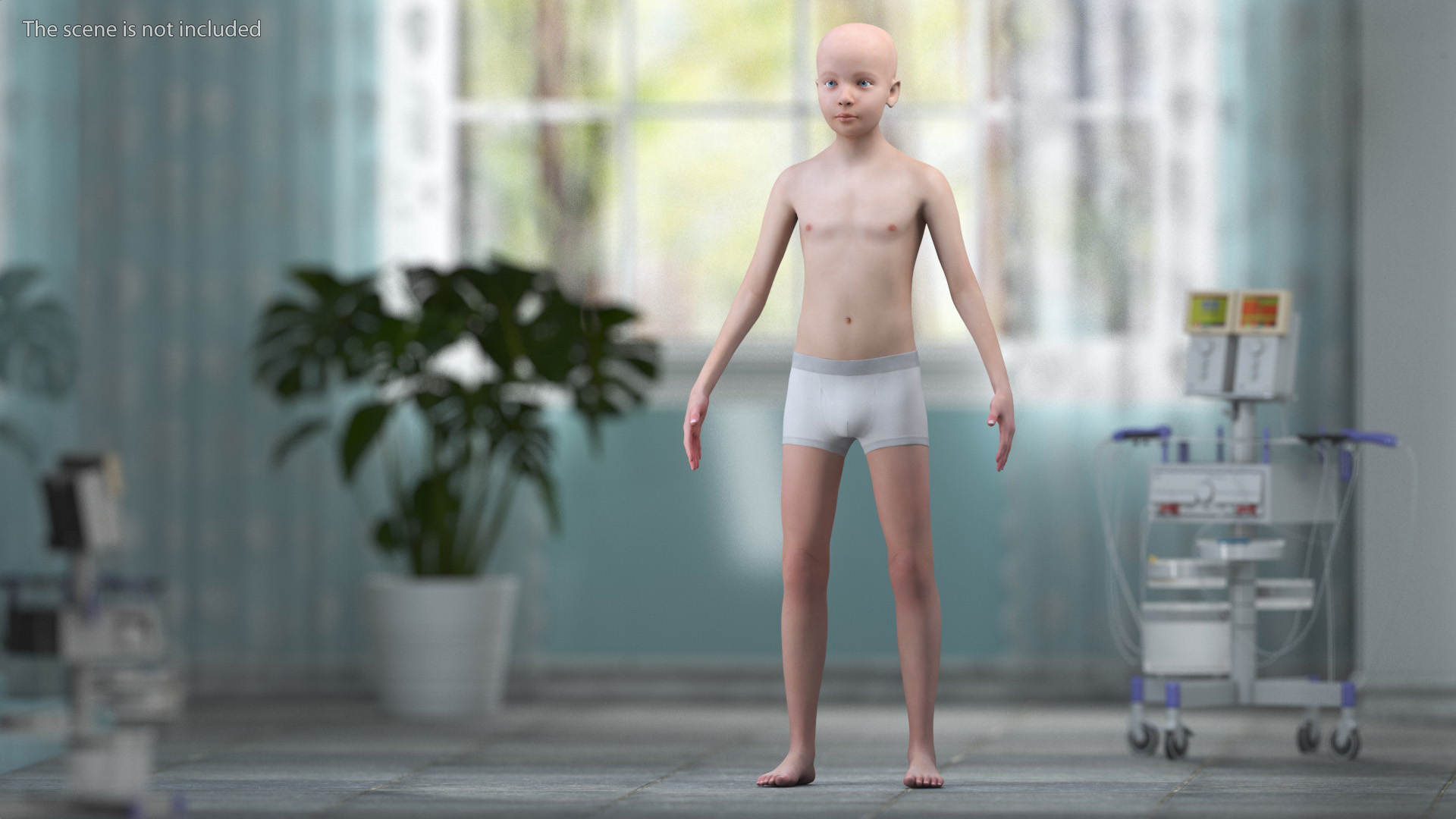 3D Boy Full Body Anatomy