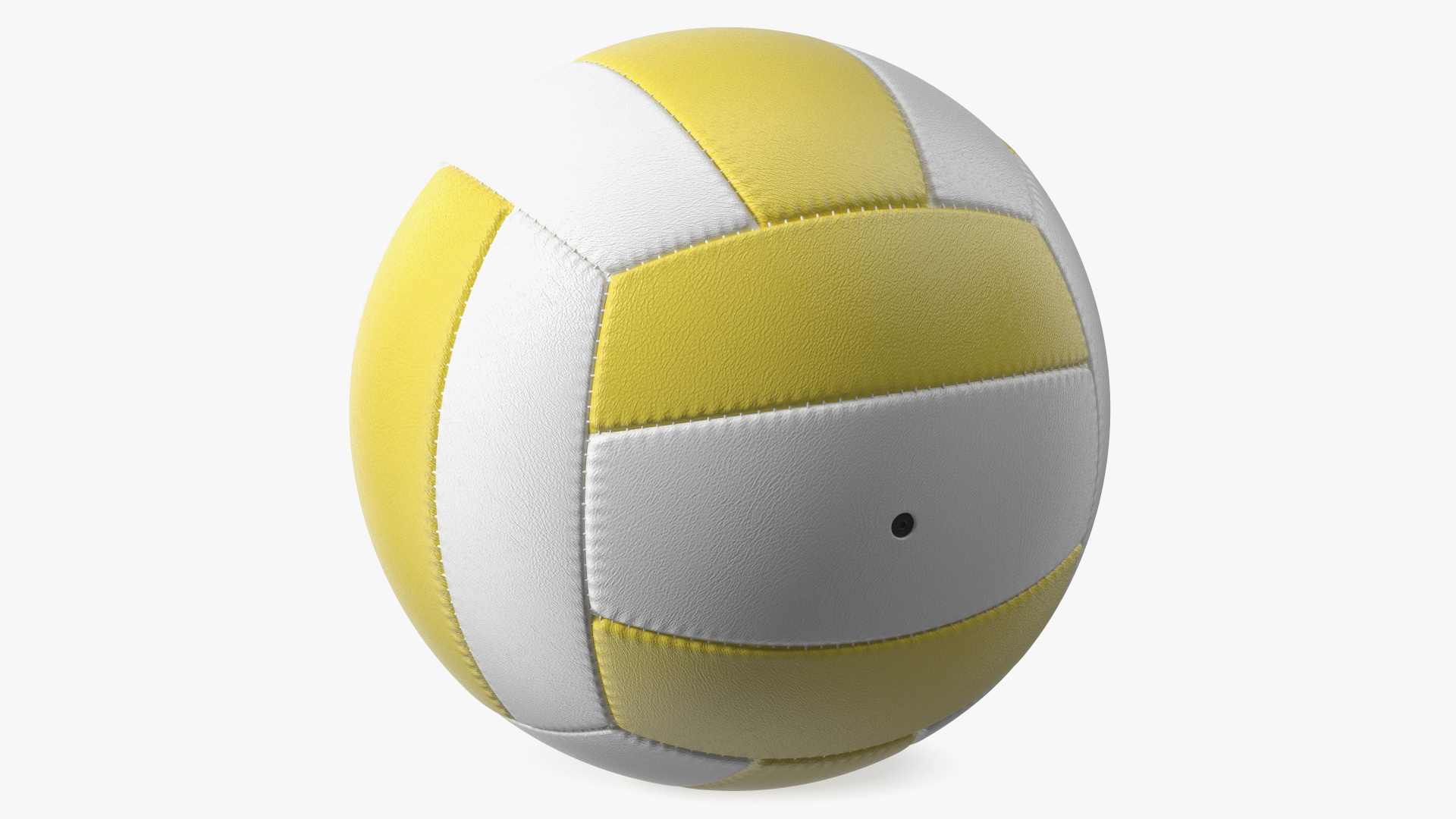 3D model Training Volley Ball