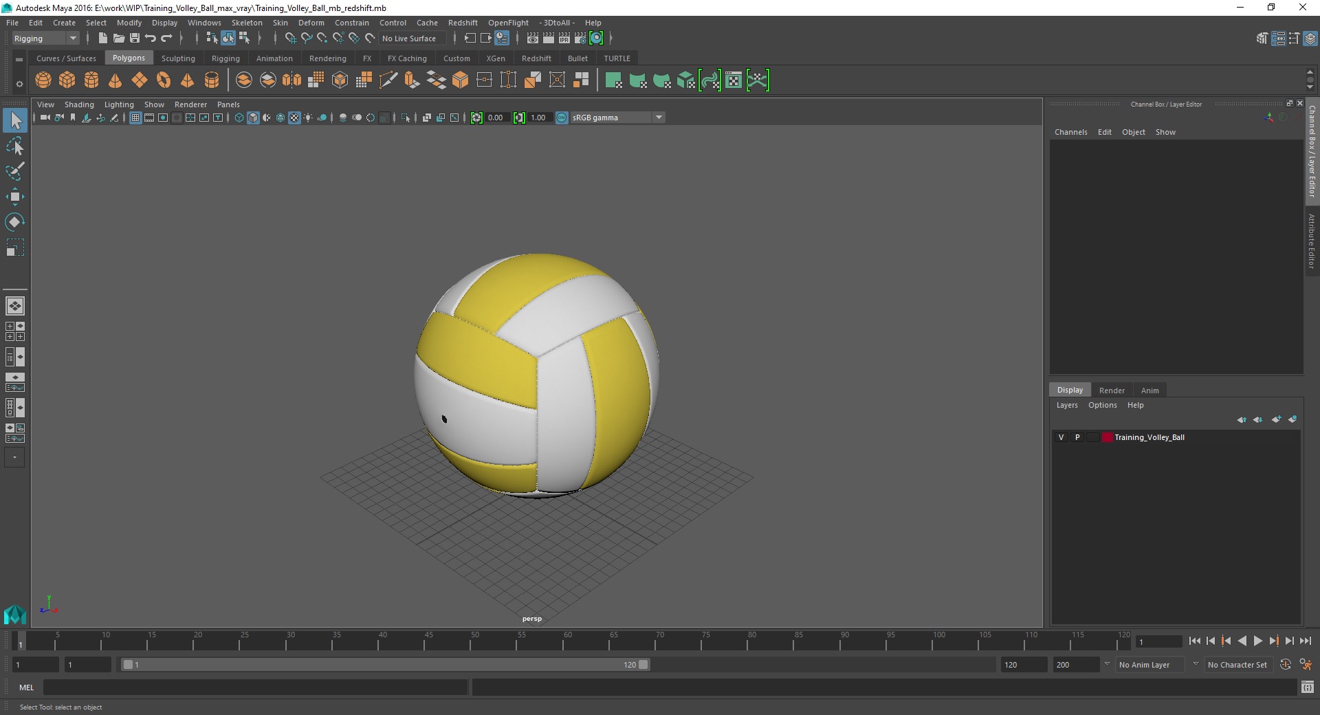 3D model Training Volley Ball