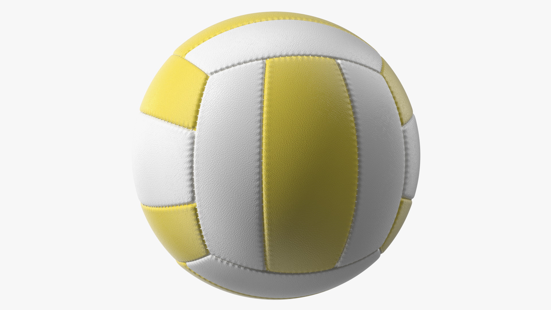 3D model Training Volley Ball