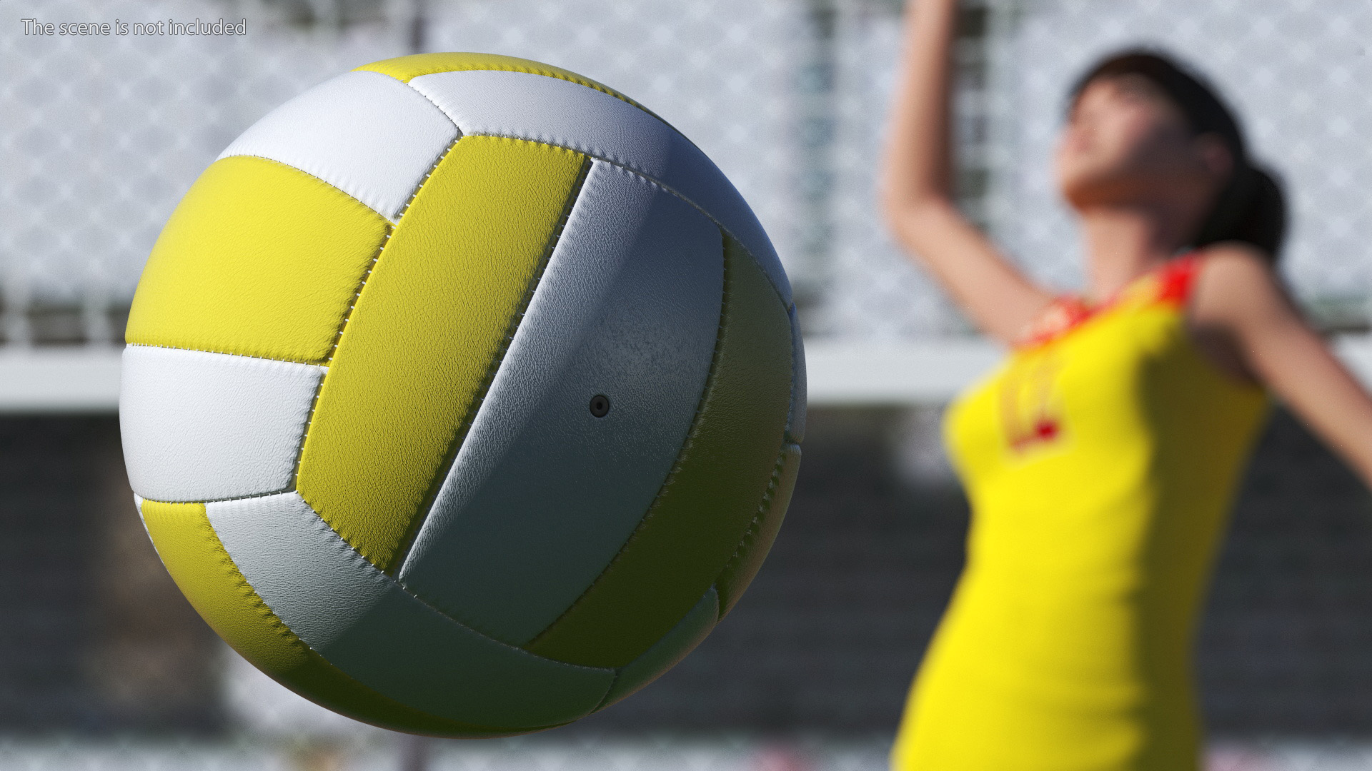 3D model Training Volley Ball