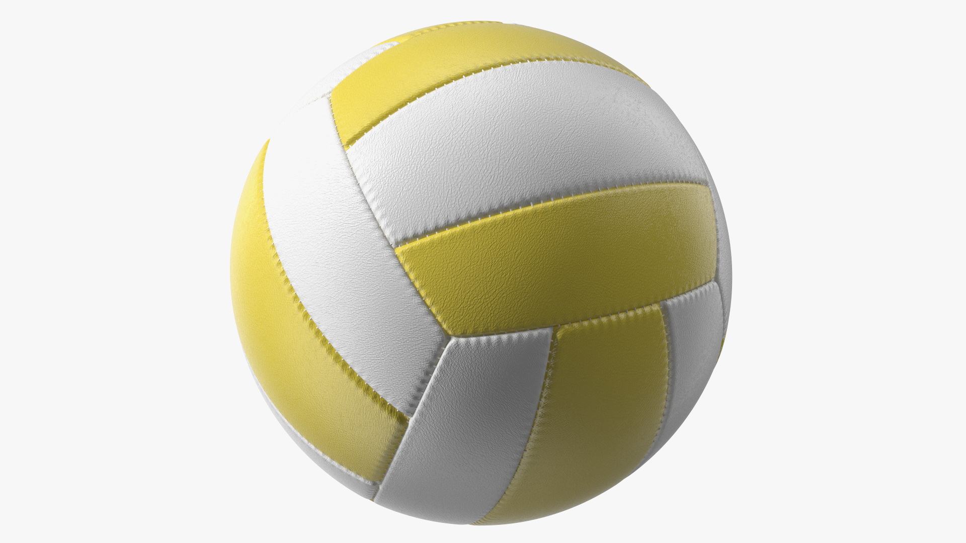 3D model Training Volley Ball