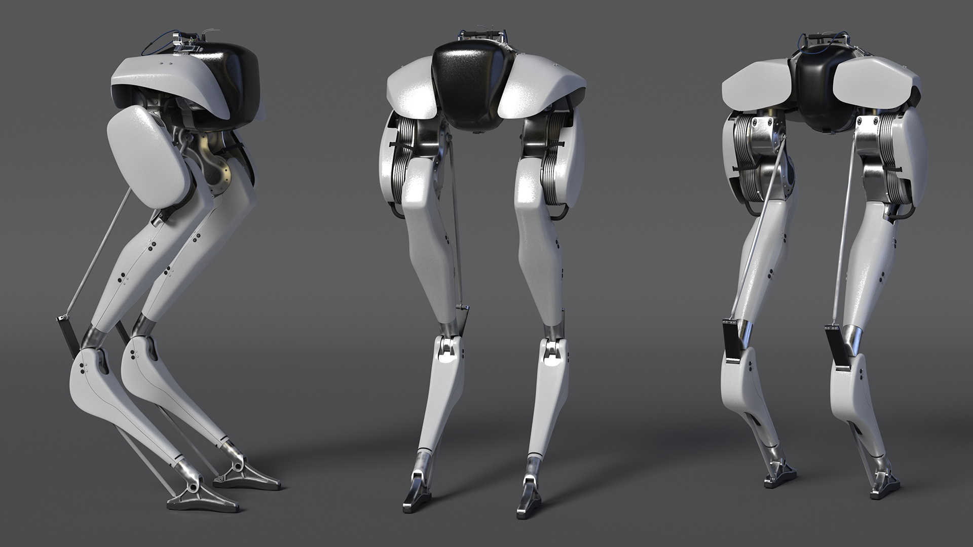 3D Bipedal Robot Grey model