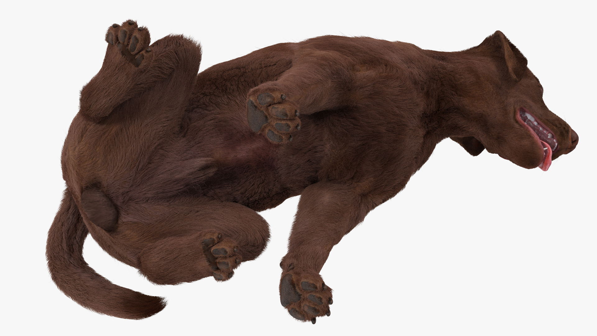 3D model Labrador Dog Brown Sitting Fur